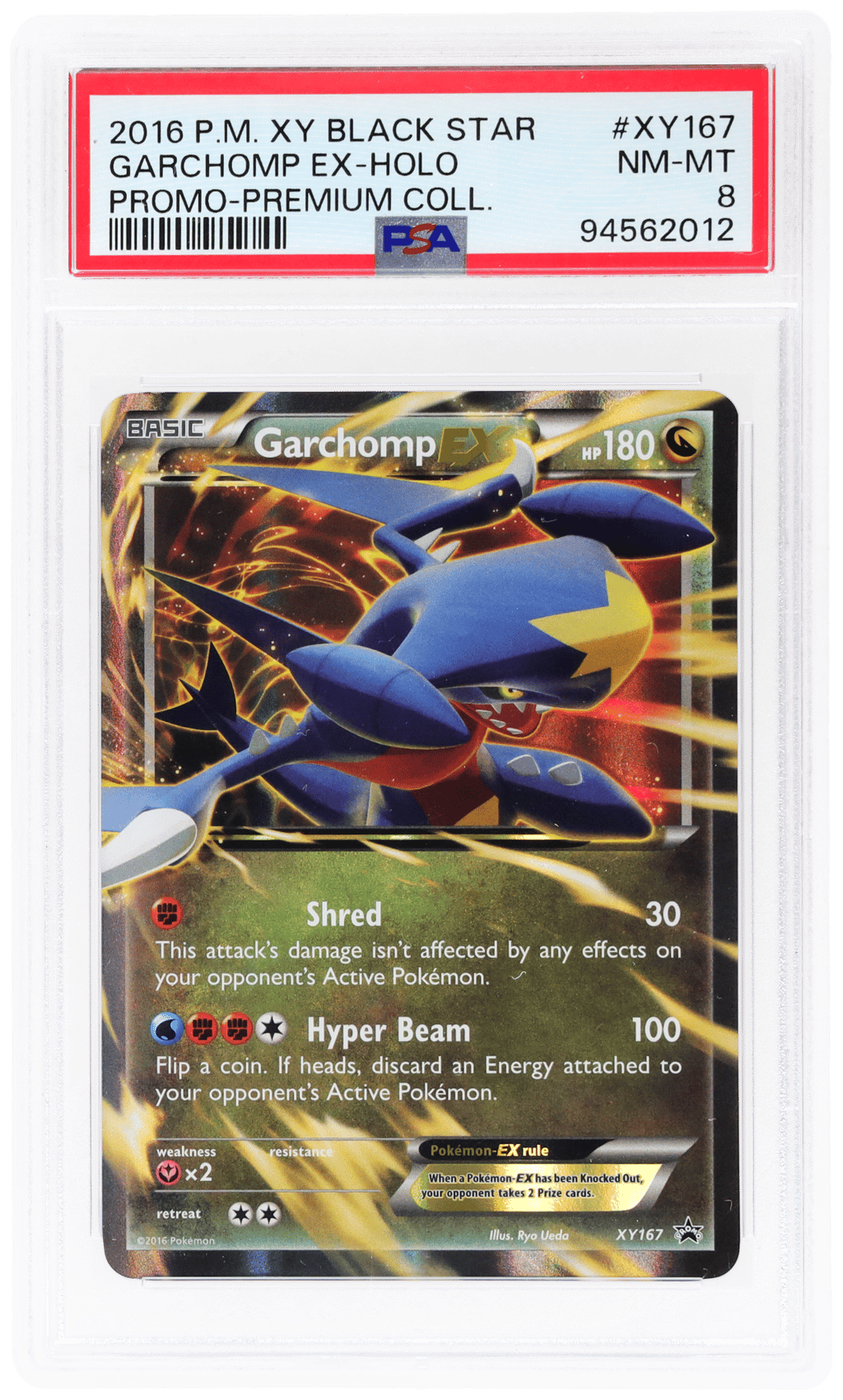 2016 Pokemon XY Black Star Promo Premium Collection Garchomp Ex #XY167 PSA 8